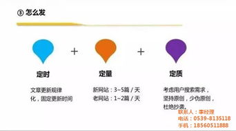 菏澤市網絡公司與臨沂新網網絡 軟件開發服務解析